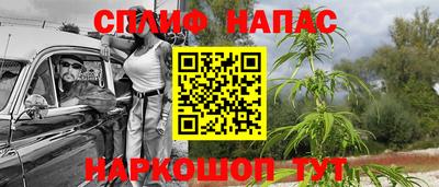 молекула духа Коммунар
