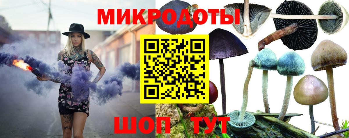 хочу наркоту  Псилоцибиновые грибы мицелий  Вход с VPN  Каменск-Шахтинский 
